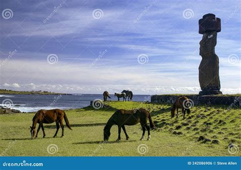 Il Moai Dell Isola Di Pasqua Nel Pacifico Meridionale Fotografia Stock