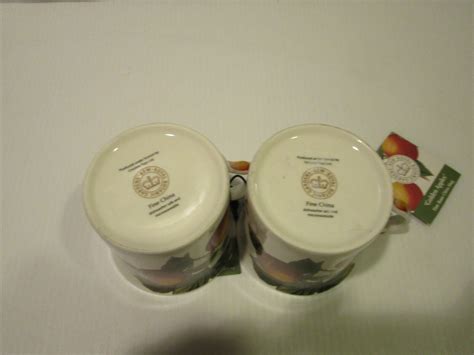 Kew Royal Botanic Gardens Pair Mugs Fruits Unused Ebay