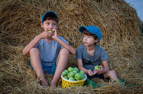 Enfants Sur Le Terrain Foins Photo Gratuite Sur Pixabay Pixabay