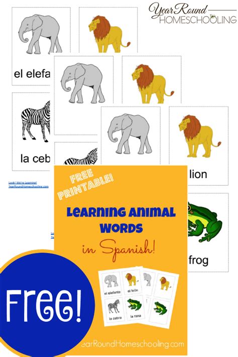 Spanish Animal Words - Year Round Homeschooling