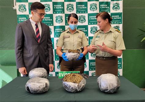 M S De Kilos De Marihuana Incautados Tras Persecuci N Carabineros