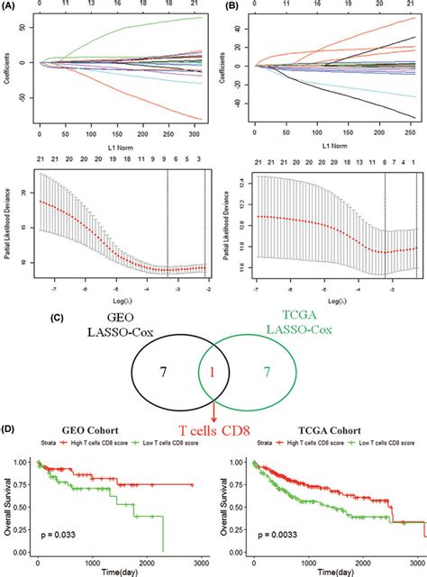 Definition And Prognostic Analysis Of Cd8 T Cells A Lasso Analysis Download Scientific