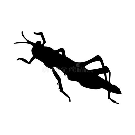 Grasshopper Silhouette Stock Vector Illustration Of Abstract 264352259