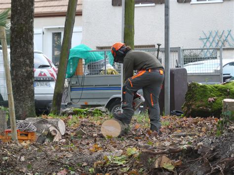 Zone Humide De Villab Un Nouveau Visage Siarce