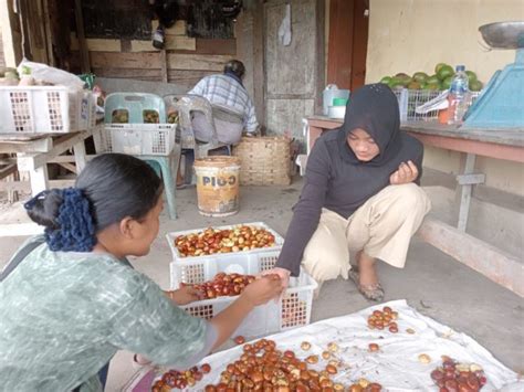 Harga Jengkol Di Lubuk Pakam Tembus Rp50 Ribu Per Kg HARIAN MISTAR