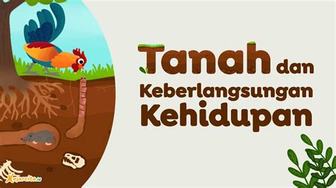 Tanah Dan Keberlangsungan Kehidupan IPA SMP YouTube