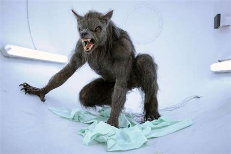 Werewolf conference will see academics shine a light on folkloric ...