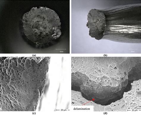 A Fracture Surface B Side View Of The Fracture Surface C