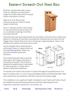 Eastern Screech Owl Birdhouse | Bird houses diy, Bird houses, Bird ...