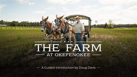 The Farm At Okefenokee Regenerative Farming Meets Sustainable Living