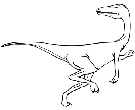 Desenhos De Velociraptor Perigoso Para Colorir E Imprimir