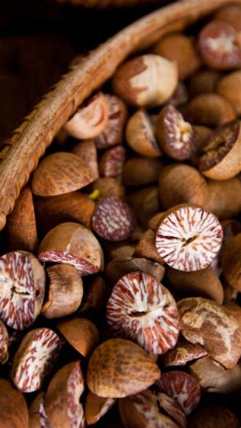 6 Health Benefits Of Betel Nuts For Men