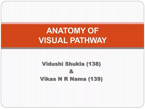 anatomy of visual pathway | PPT | Free Download