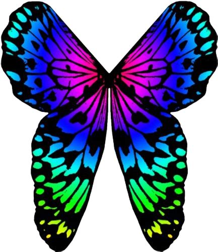 Rainbow Butterfly Png Image Background Rainbow Butterfly Clipart