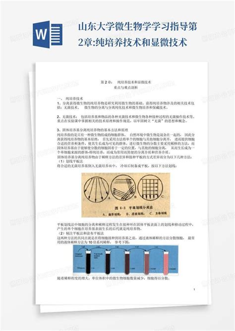 山东大学微生物学学习指导第2章纯培养技术和显微技术word模板下载编号lpwbpnne熊猫办公