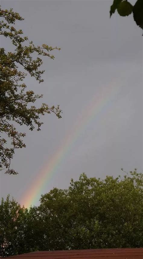 Look Colourful Rainbows Across Coventry And Warwickshire Coventrylive