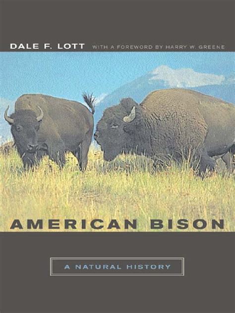 American Bison - A Natural History | PDF | American Bison | Bull