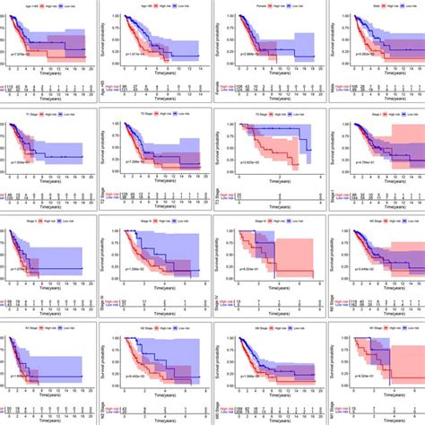 Subgroup Analysis Kaplanmeier Survival Illustrated The Overall