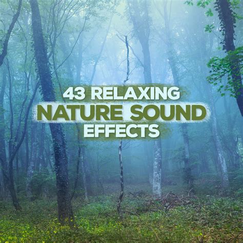 43Relaxing Nature Sound Effects Album By Rest Relax Nature Sounds