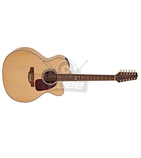 Guitarra Takamine Electro Acustica Jumbo Cutaway Cuerdas Sunburst