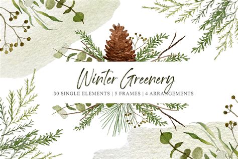 Winter Greenery Clip Art