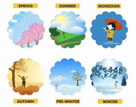 Seasons Of India Winter Summer Monsoon Spring Autumn