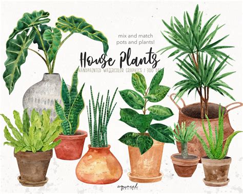 Indoor Plants Clipart Watercolor Houseplants Watercolour Etsy Cherry Blossom Watercolor