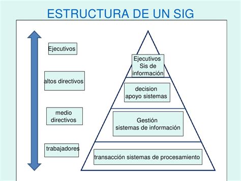 Estructura Organizacional Sistemas De Informaci N Gerencial