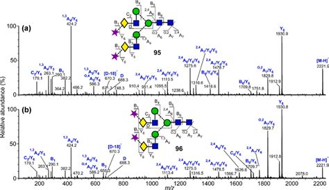 Negative Ion Collisioninduced Dissociation Cid Spectra Of