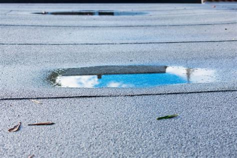 Why Is There Ponding Water On My Flat Roof Deschutes Roofing