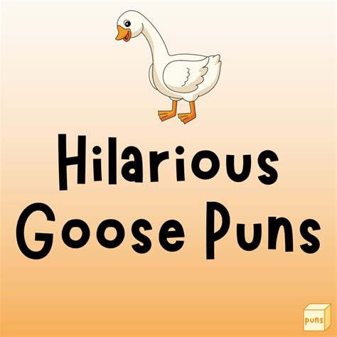 Funny Goose Puns To Make You Honk With Laughter Box Of Puns