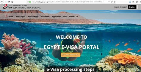 Egypt Visa Guide 4 Easy Steps To Apply For Egyptian Tourist Visa E