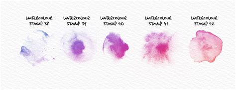 The Ultimate Watercolour Brush Set Design Cuts