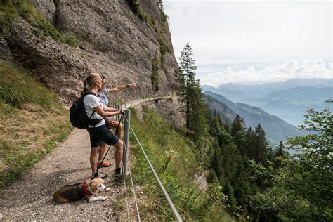 Top 5 hiking trails on Mount Rigi • Collection » outdooractive.com