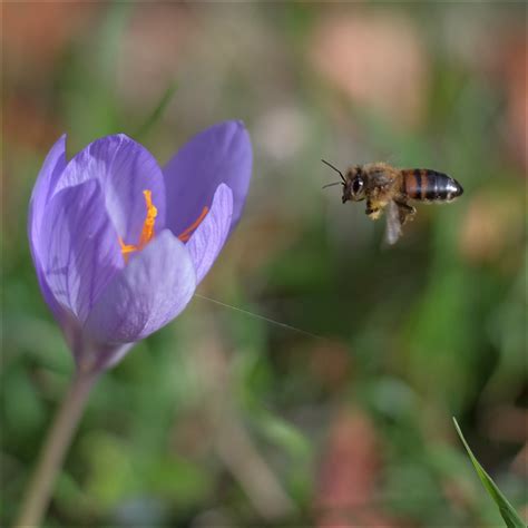 Im Anflug J Rg Weitzenberg Flickr