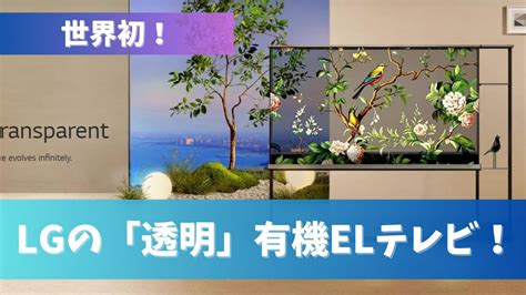 Lgの「ワイヤレス透明有機elテレビ」の衝撃！その価格は！？世界初の透明テレビ！ ソロライフlab