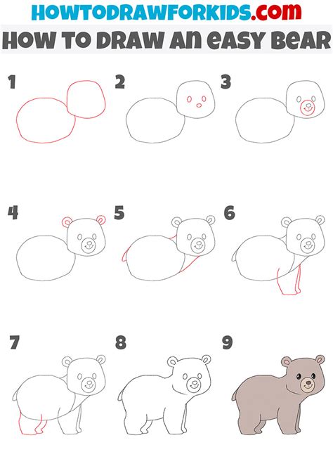 How To Draw A Bear Step By Step