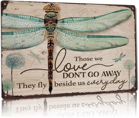 Amazon Pekg Funny Retro Dragonfly Accept What Is Metal Tin Signs