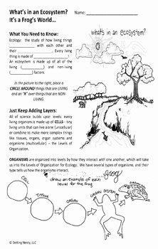 50 Levels Of Ecological Organization Worksheet