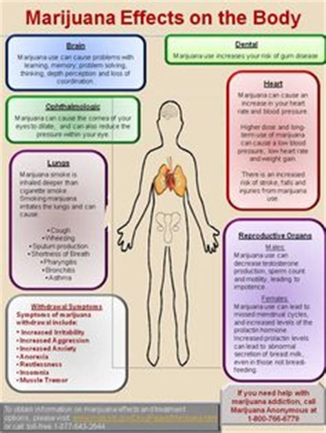 Marijuana Effects