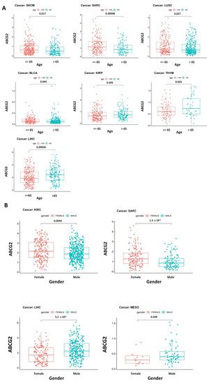 Ijms Free Full Text A Pan Cancer Landscape Of Abcg2 Across Human Cancers Friend Or Foe