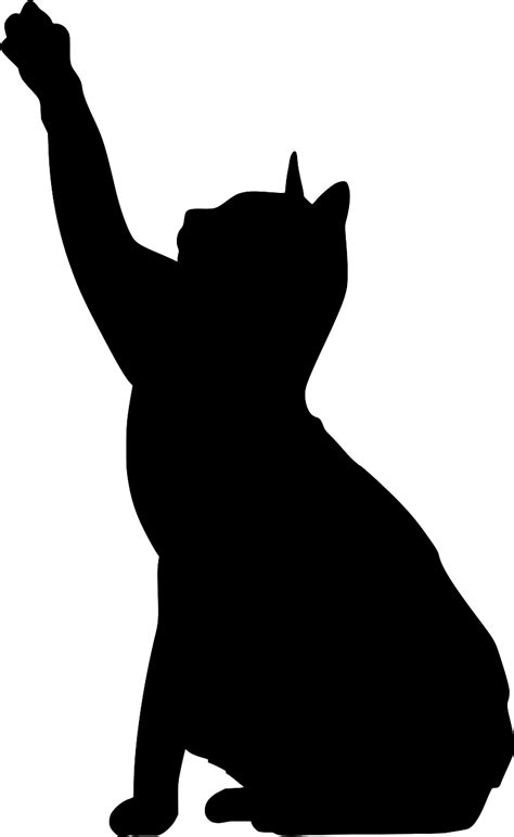 Svg Tier Katze Anfordern K Tzchen Kostenloses Svg Bild Symbol