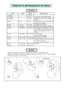 Activité n22 Le développement de l embryon et les échanges avec