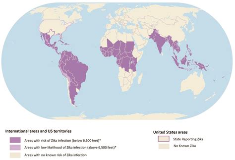 The Epidemic That Shook The WorldThe Zika Virus Rampage