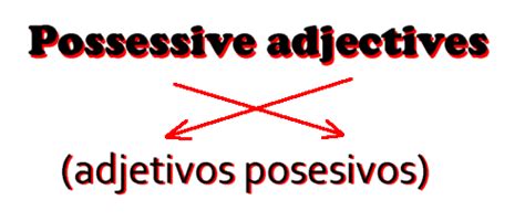 Possessive Adjectives Adjetivos Posesivos Diagram Quizlet Off