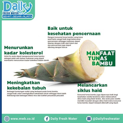 Manfaat Tunas Bambu Rebung