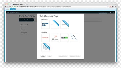 Computer Program MuleSoft Salesforce Application Programming