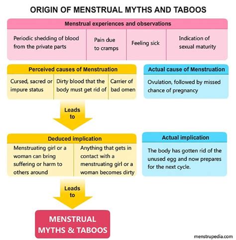 Understanding Menstrual Myths