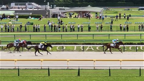 【現地】クレーキング 岩田康誠 メイクデビュー東京 2歳新馬戦 祖母ヒカルアマランサス Youtube