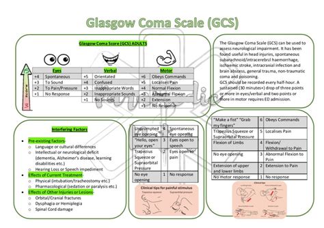 Glasgow Coma Scale Gcs Etsy Uk